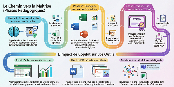 Optimisation et pilotage des processus TPE avec Microsoft office 365 & IA Copilot