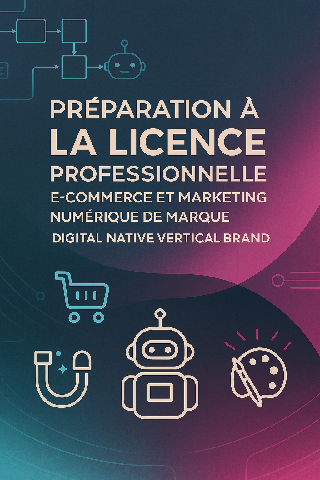 Préparation à la licence professionnelle e-commerce et marketing numérique de marque Digital Native Vertical Brand
