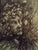 Dessin au stylo bille noir, Captations